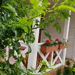 Letniskowe Chabrowa 1 Деревянный коттедж