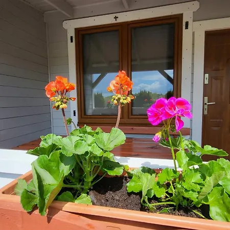 Letniskowe Chabrowa 1 Sianozety