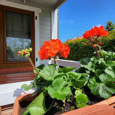 Letniskowe Chabrowa 1 Orman Evi