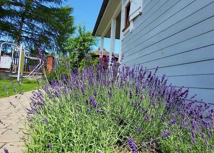 Letniskowe Chabrowa 1 * Sianożęty