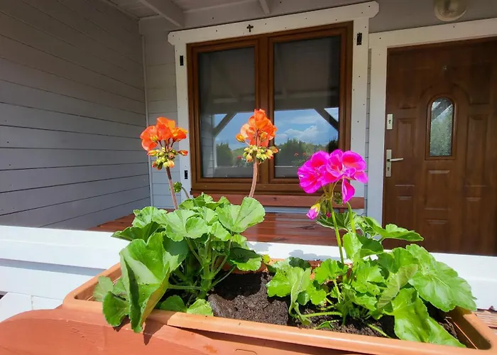 Letniskowe Chabrowa 1 Sianozety