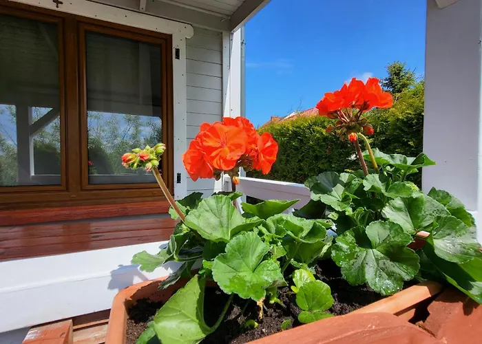 Letniskowe Chabrowa 1 Lodge